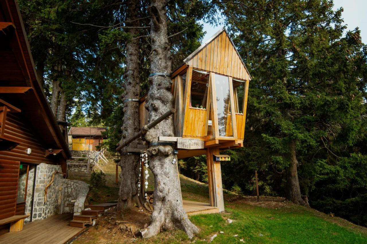 Tree House Alpinka Krvavec Villa Cerklje na Gorenjskem Bagian luar foto
