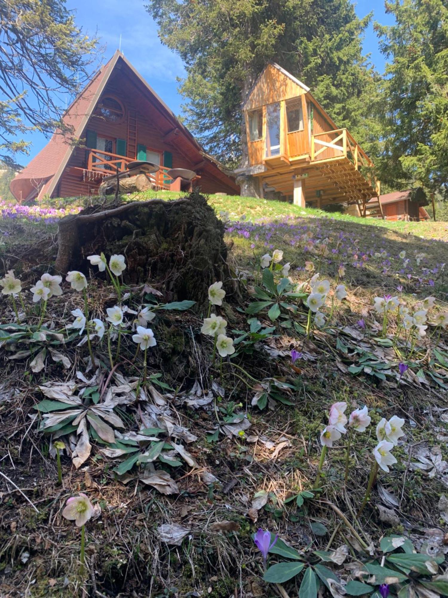 Tree House Alpinka Krvavec Villa Cerklje na Gorenjskem Bagian luar foto